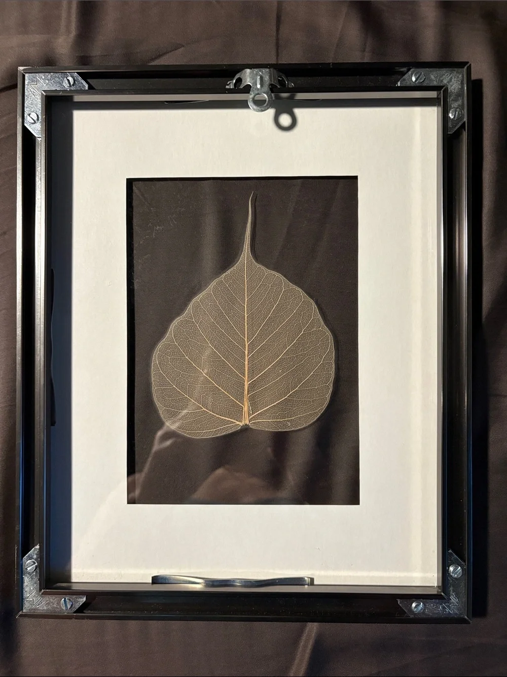 Neutral Skeleton Leaf Framed Wall Art - Set of 2
